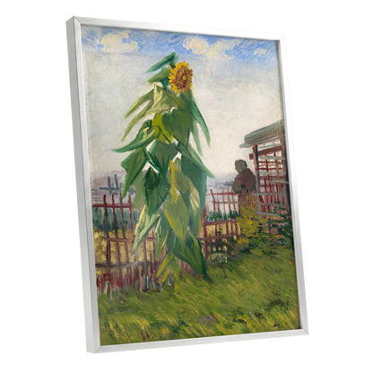 Sunflower Above the Fence, green, yellow, blue floral wall art shown as a silver framed poster wall art print