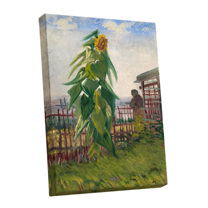 Sunflower Above the Fence, green, yellow, blue floral wall art shown as a stretched canvas wall art