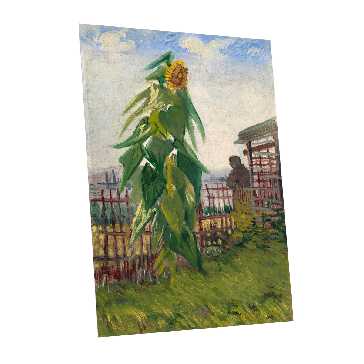 Sunflower Above the Fence, green, yellow, blue floral wall art shown as a unframed poster wall art print