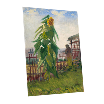 Sunflower Above the Fence, green, yellow, blue floral wall art shown as a unframed poster wall art print