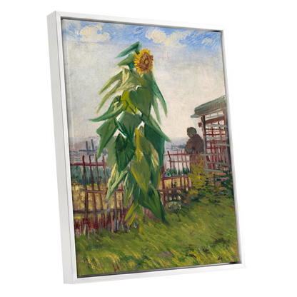 Sunflower Above the Fence, green, yellow, blue floral wall art shown as a white framed canvas wall art
