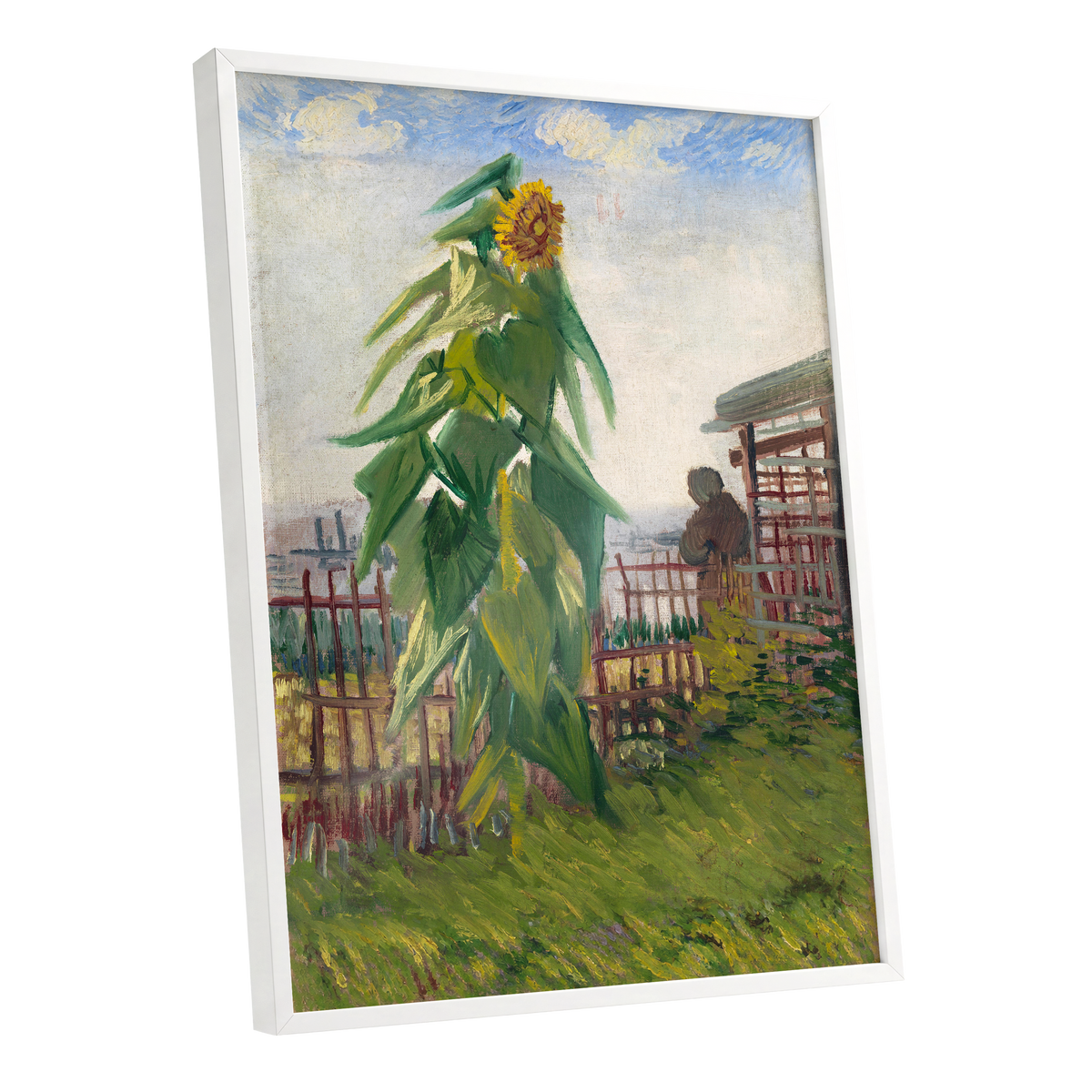 Sunflower Above the Fence, green, yellow, blue floral wall art shown as a white framed poster wall art print