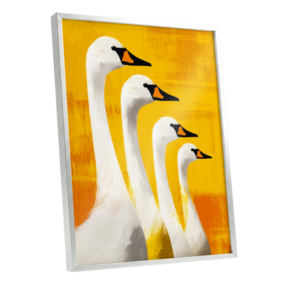Sunlit Swan Line-Up, white, black, yellow nature wall art shown as a silver framed poster wall art print