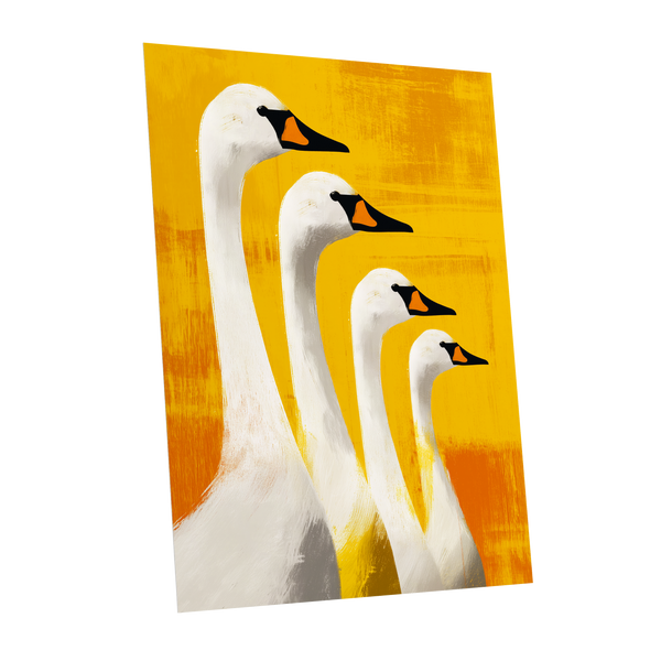 Sunlit Swan Line-Up, white, black, yellow nature wall art shown as a unframed poster wall art print