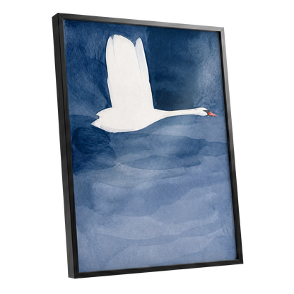 Swan in Blue Silence, blue, white, black nature wall art shown as a black framed poster wall art print