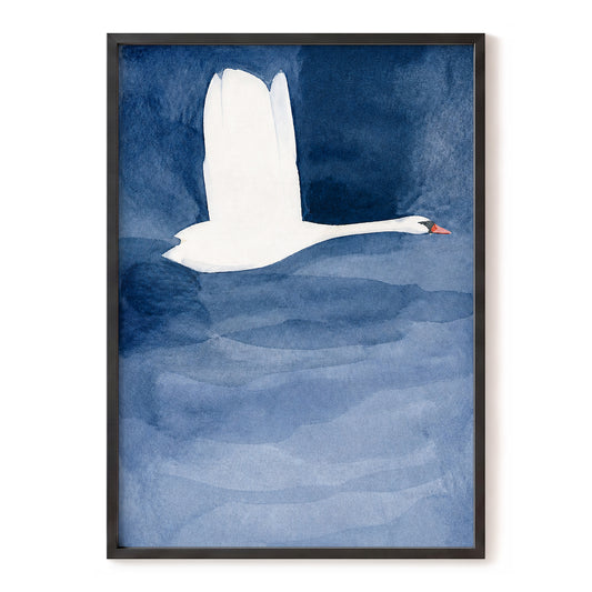 Swan in Blue Silence, blue, white, black nature wall art, front artwork view
