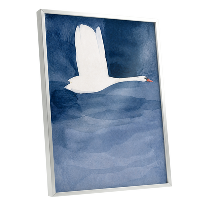 Swan in Blue Silence, blue, white, black nature wall art shown as a silver framed poster wall art print