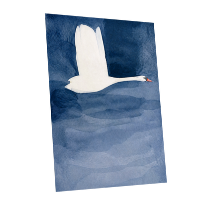 Swan in Blue Silence, blue, white, black nature wall art shown as a unframed poster wall art print