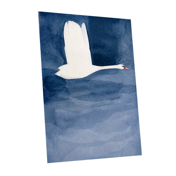 Swan in Blue Silence, blue, white, black nature wall art shown as a unframed poster wall art print