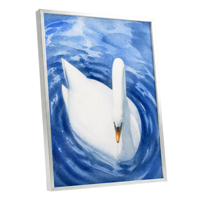 Swan in Sapphire, blue, white, orange nature wall art shown as a silver framed poster wall art print