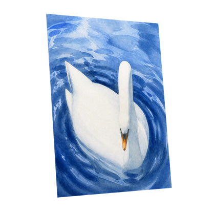 Swan in Sapphire, blue, white, orange nature wall art shown as a unframed poster wall art print