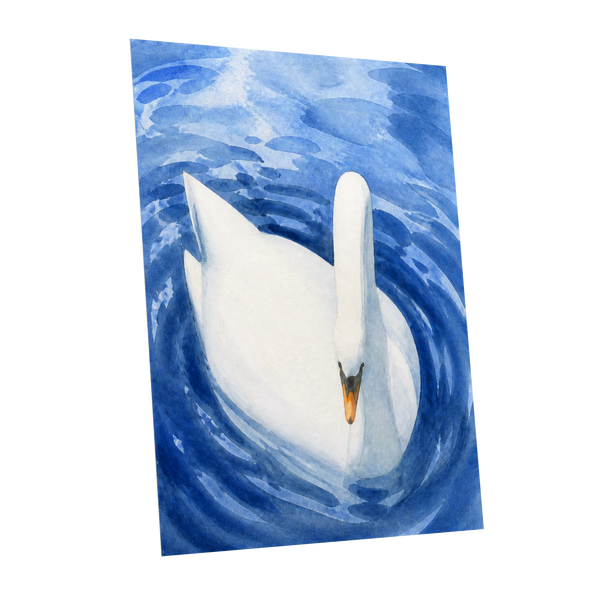 Swan in Sapphire, blue, white, orange nature wall art shown as a unframed poster wall art print