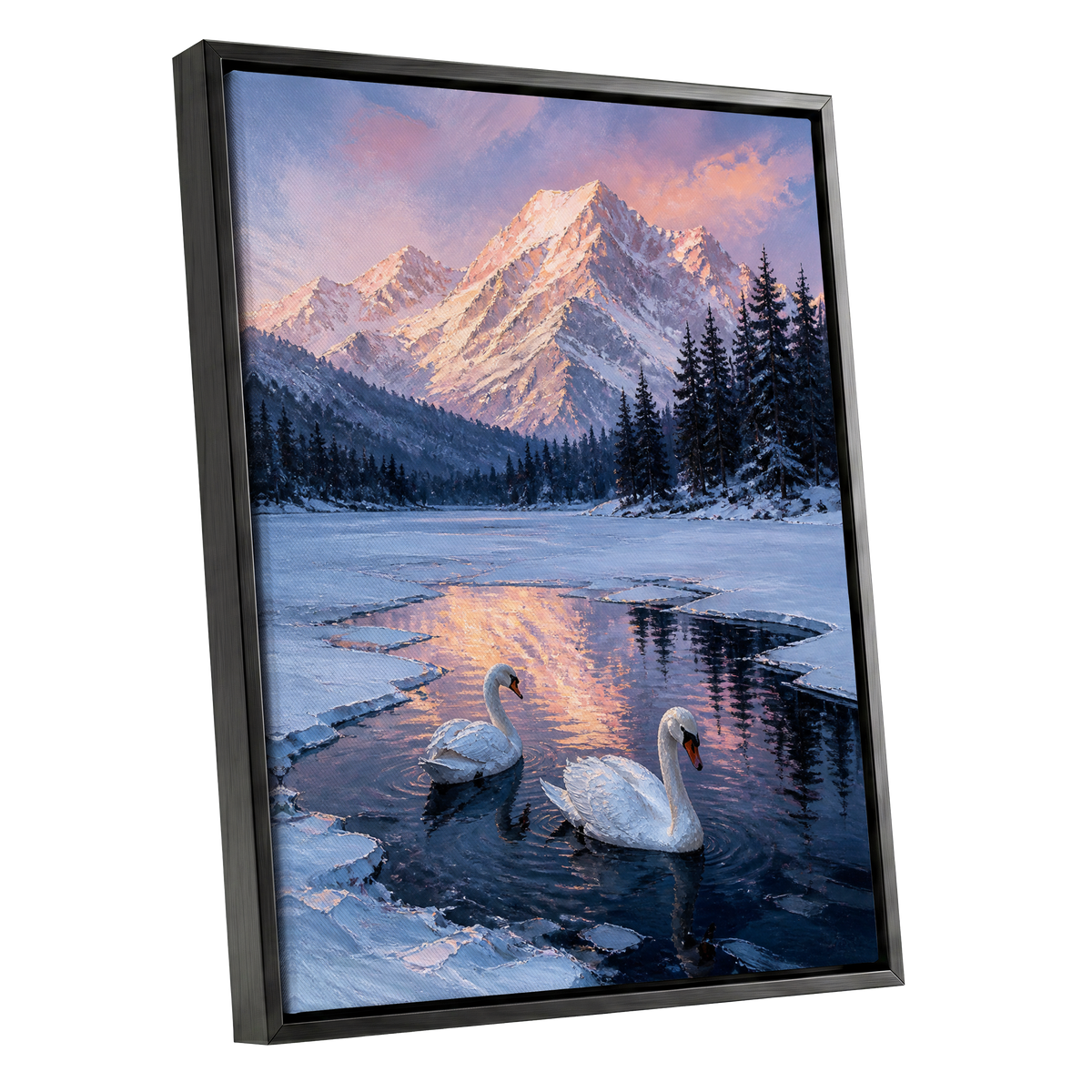Swans at Alpine Dusk, blue, white, pink nature wall art shown as a black framed canvas wall art