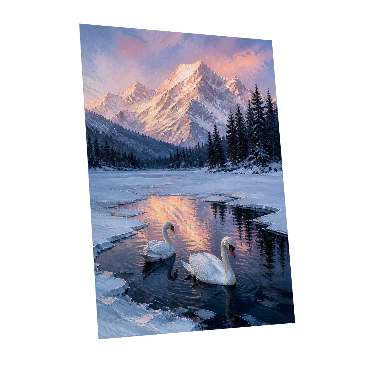 Swans at Alpine Dusk, blue, white, pink nature wall art shown as a unframed poster wall art print
