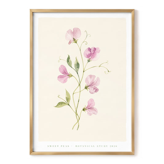 Sweet Pea Reverie, pink, green, beige floral wall art, front artwork view