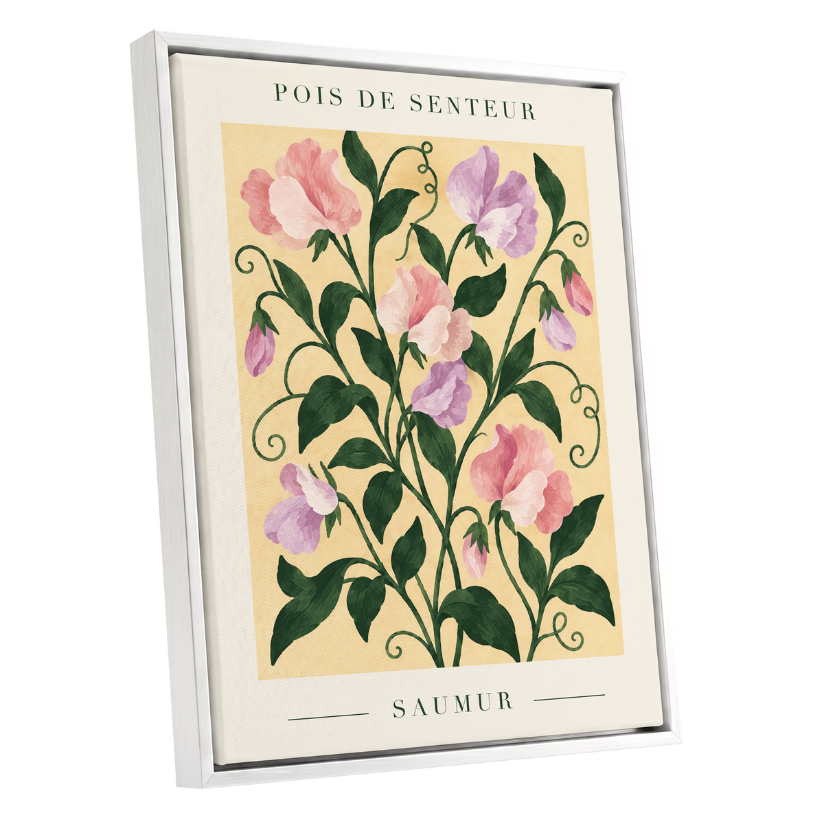 Sweet Pea Reverie, green, pink, purple floral wall art shown as a white framed canvas wall art