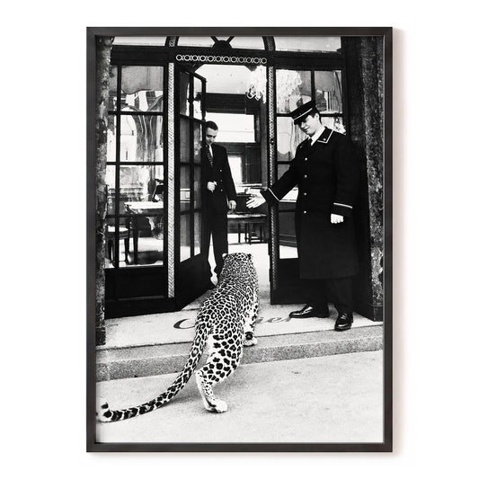 The Grand Arrival, black, white, gray nature wall art, front artwork view