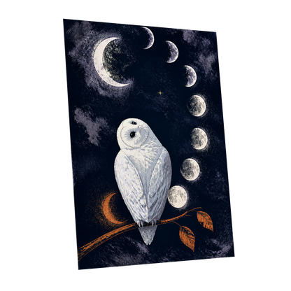The Moonwatch Owl, blue, white, gray nature wall art shown as a unframed poster wall art print