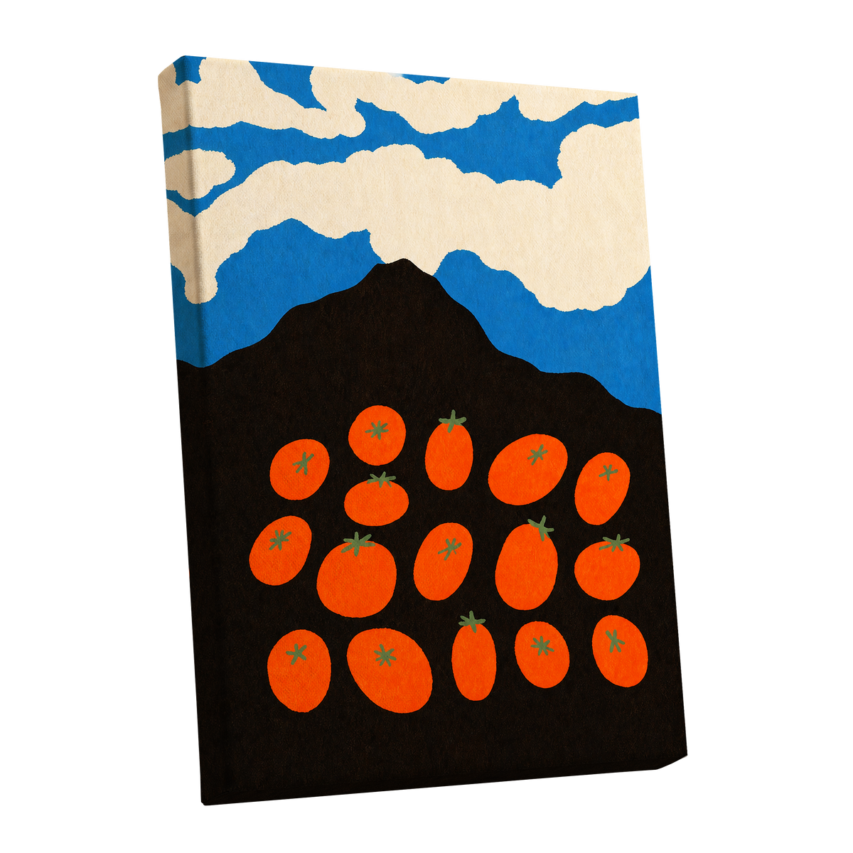 Tomato Sky, orange, black, blue nature wall art shown as a stretched canvas wall art