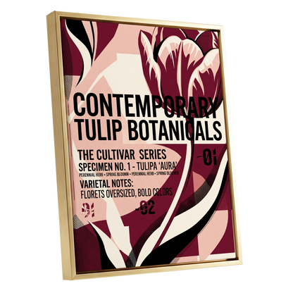 Tulipa Aura Study, red, pink, black floral wall art shown as a gold framed canvas wall art