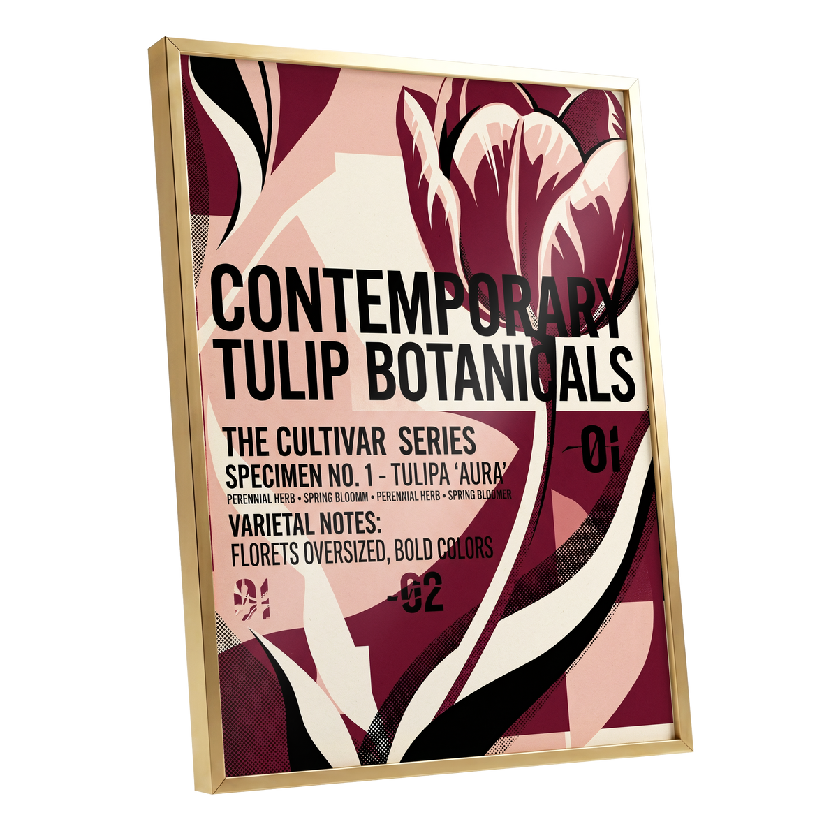 Tulipa Aura Study, red, pink, black floral wall art shown as a gold framed poster wall art print