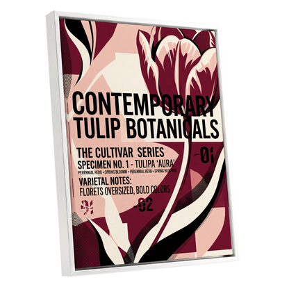 Tulipa Aura Study, red, pink, black floral wall art shown as a white framed canvas wall art