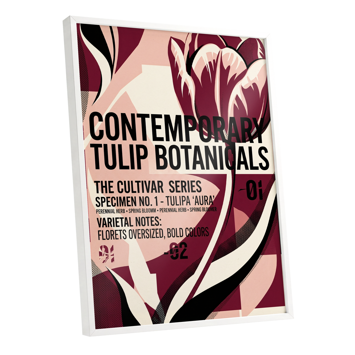 Tulipa Aura Study, red, pink, black floral wall art shown as a white framed poster wall art print