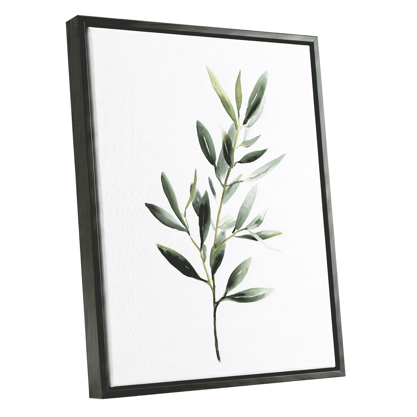 Verdant Branch Study – black framed canvas option
