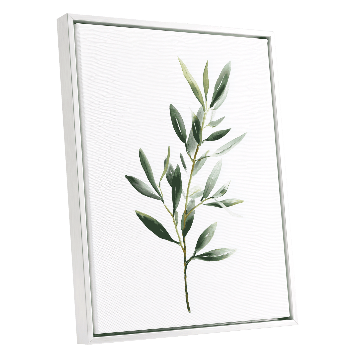 Verdant Branch Study – white framed canvas option