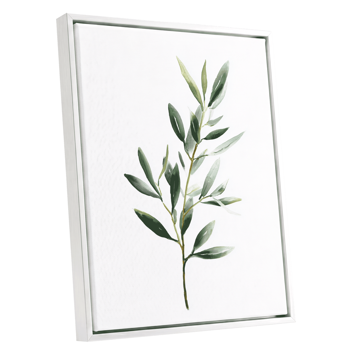 Verdant Branch Study – white framed canvas option