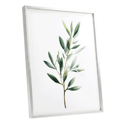 Verdant Branch Study – silver framed poster option