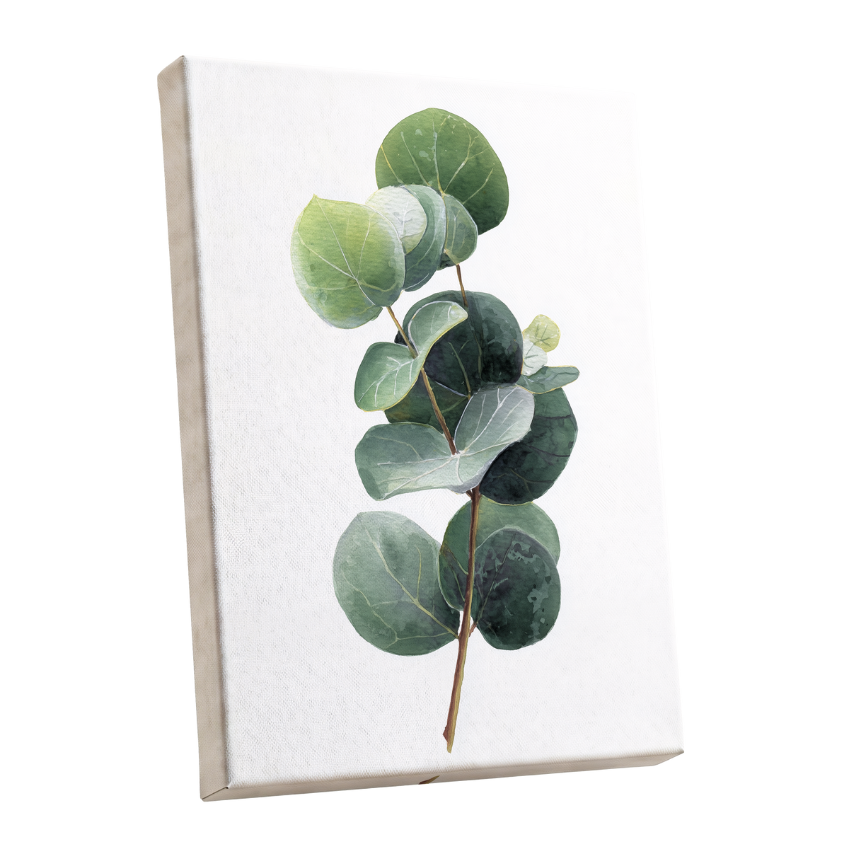 Verdant Coin Leaves, green, gray, white nature wall art shown as a stretched canvas wall art
