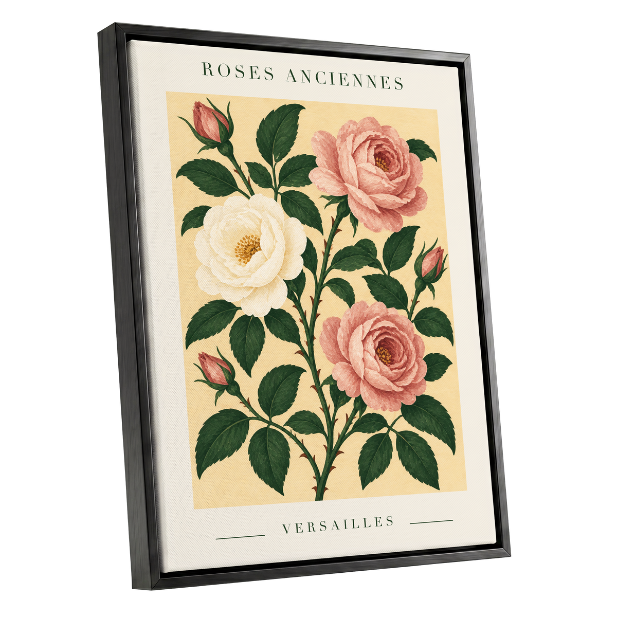 Versailles Rose Reverie, pink, green, beige floral wall art shown as a black framed canvas wall art