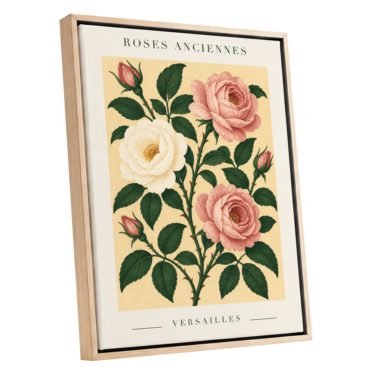 Versailles Rose Reverie, pink, green, beige floral wall art shown as a oak framed canvas wall art