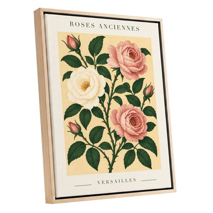 Versailles Rose Reverie, pink, green, beige floral wall art shown as a oak framed canvas wall art
