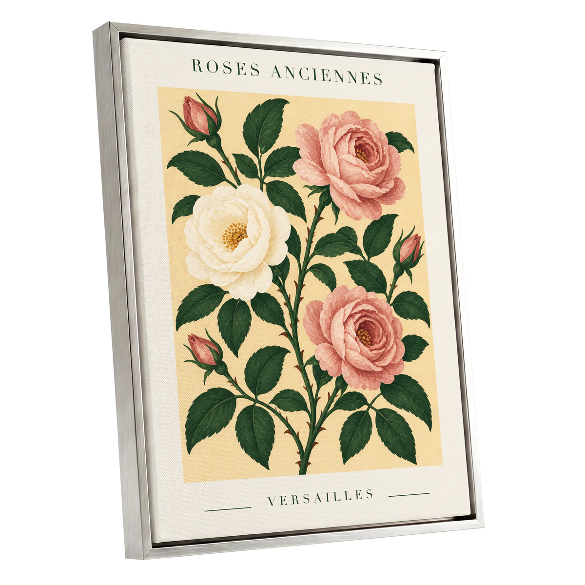 Versailles Rose Reverie, pink, green, beige floral wall art shown as a silver framed canvas wall art