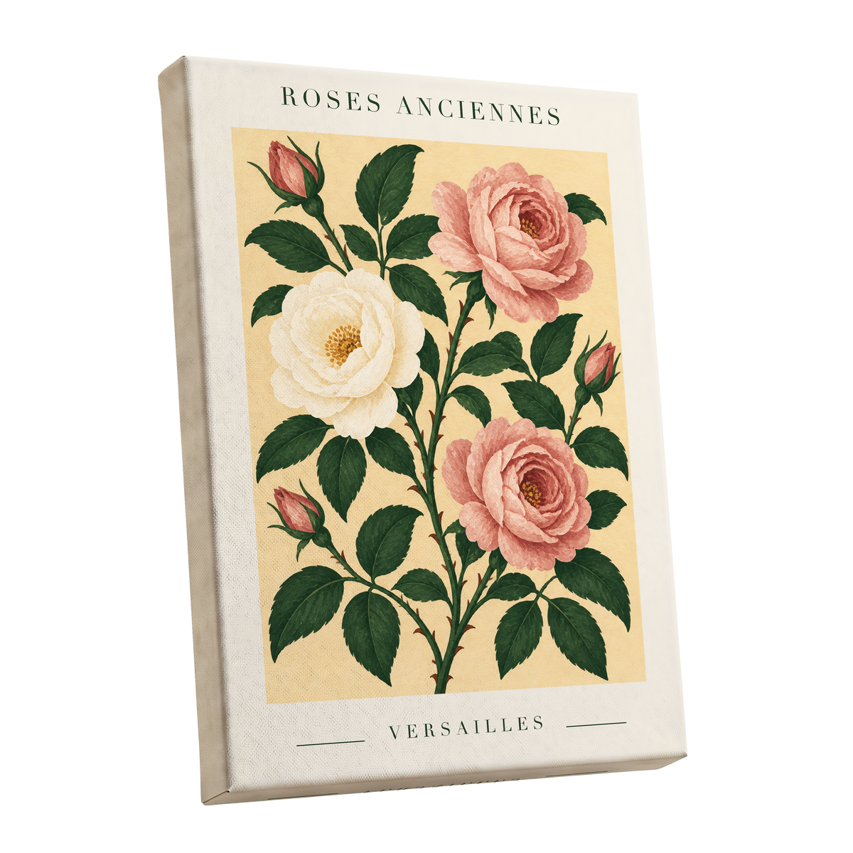 Versailles Rose Reverie, pink, green, beige floral wall art shown as a stretched canvas wall art