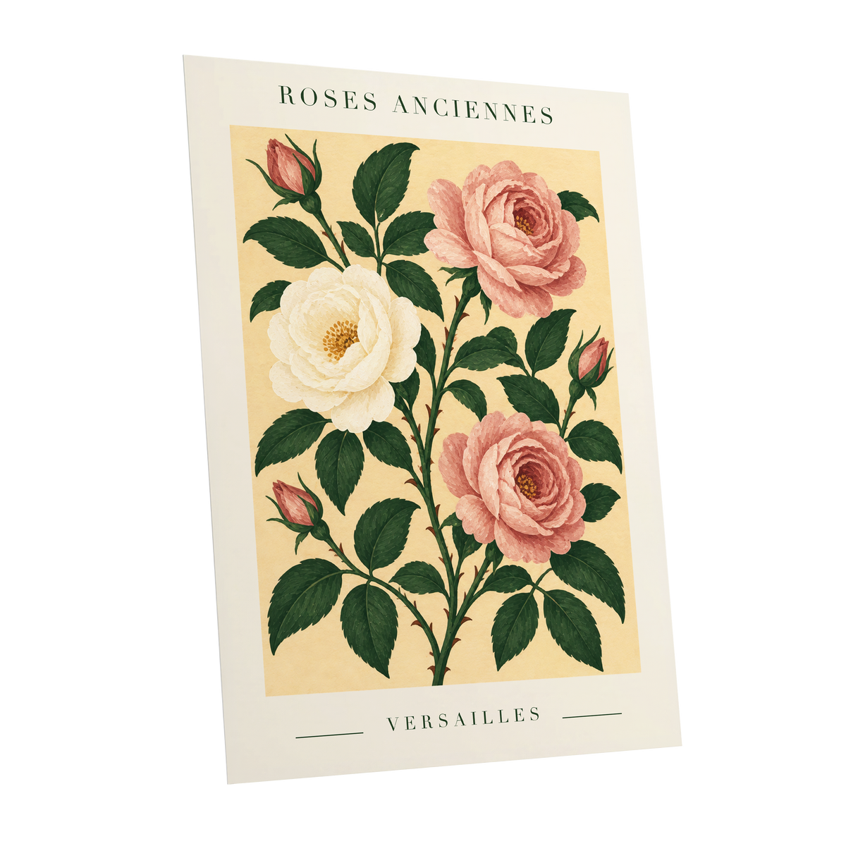 Versailles Rose Reverie, pink, green, beige floral wall art shown as a unframed poster wall art print