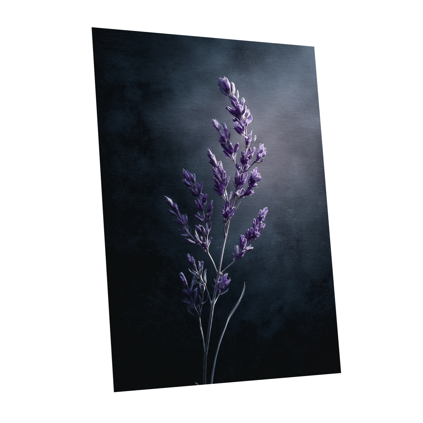 Violet Nocturne, black, blue, gray floral wall art shown as a unframed poster wall art print