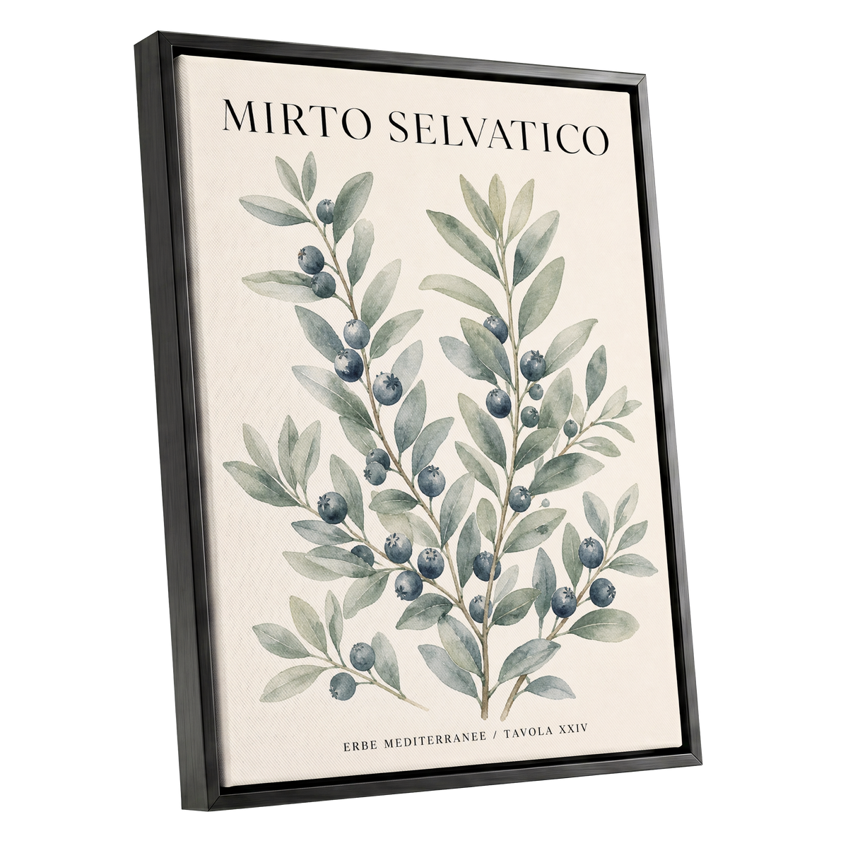 Wild Myrtle Study, beige, green, blue nature wall art shown as a black framed canvas wall art