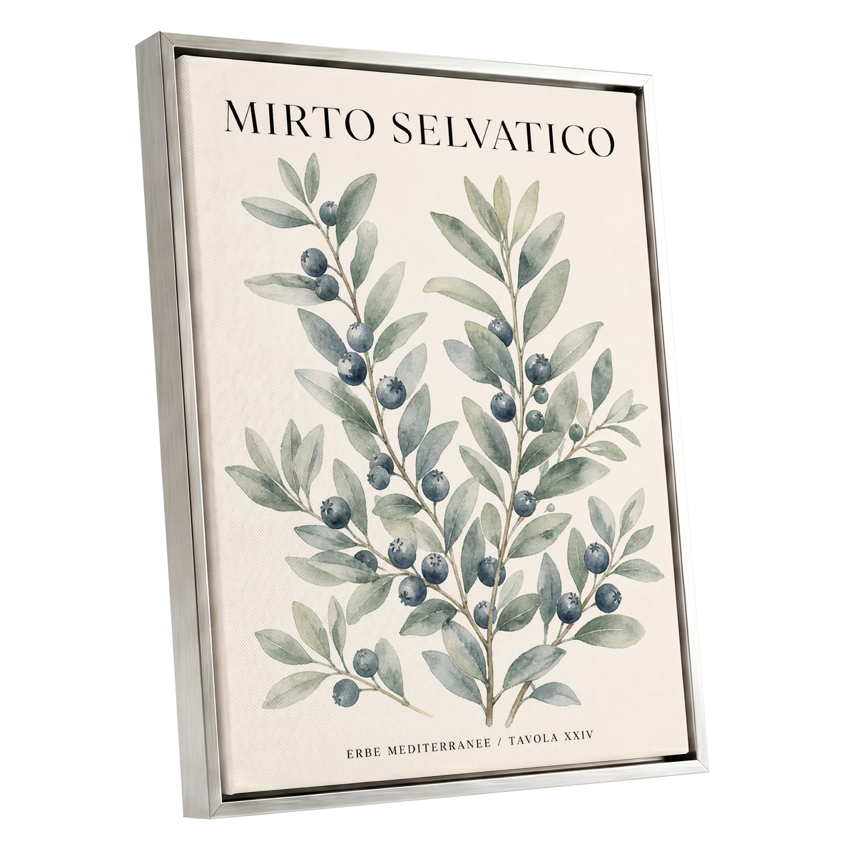 Wild Myrtle Study, beige, green, blue nature wall art shown as a silver framed canvas wall art