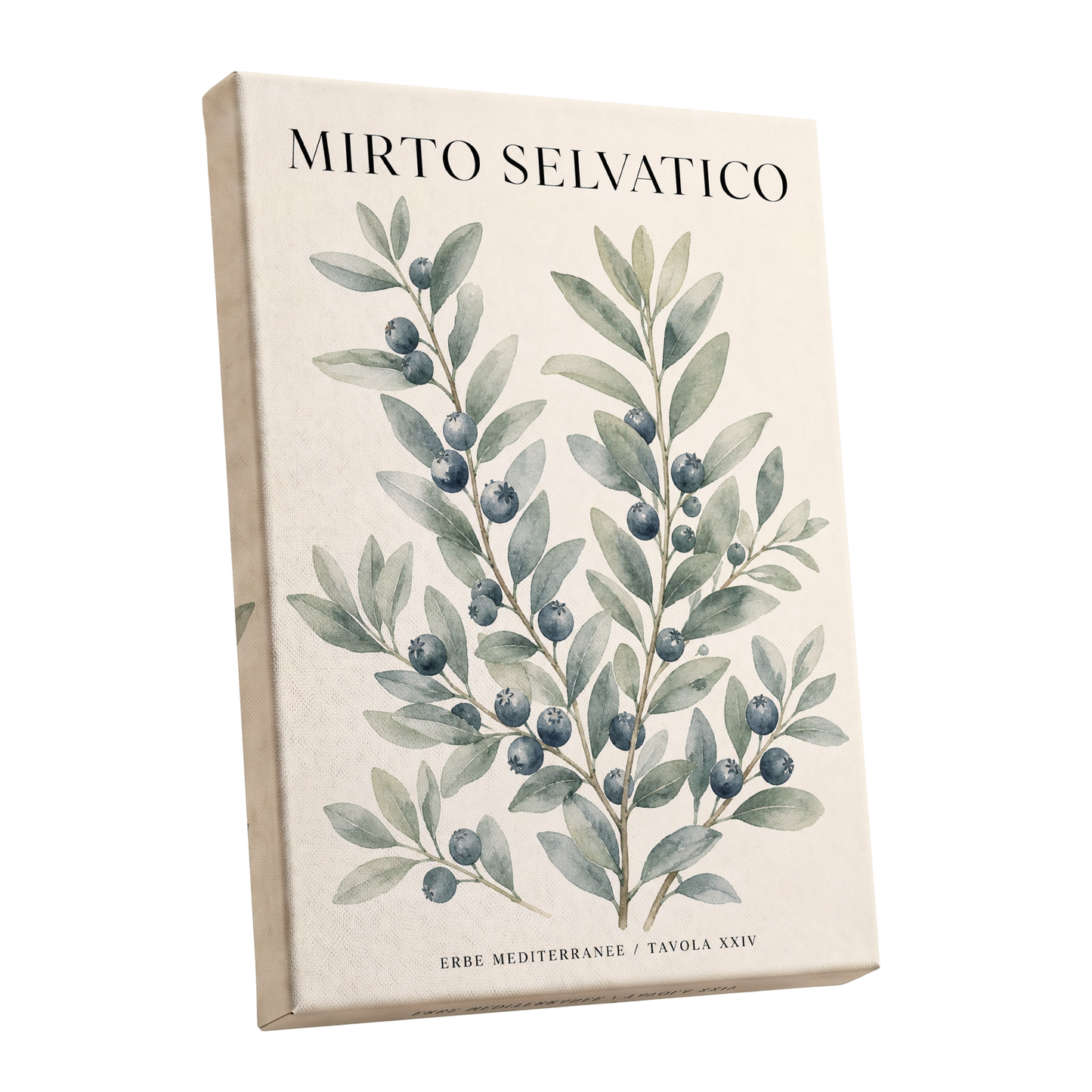 Wild Myrtle Study, beige, green, blue nature wall art shown as a stretched canvas wall art