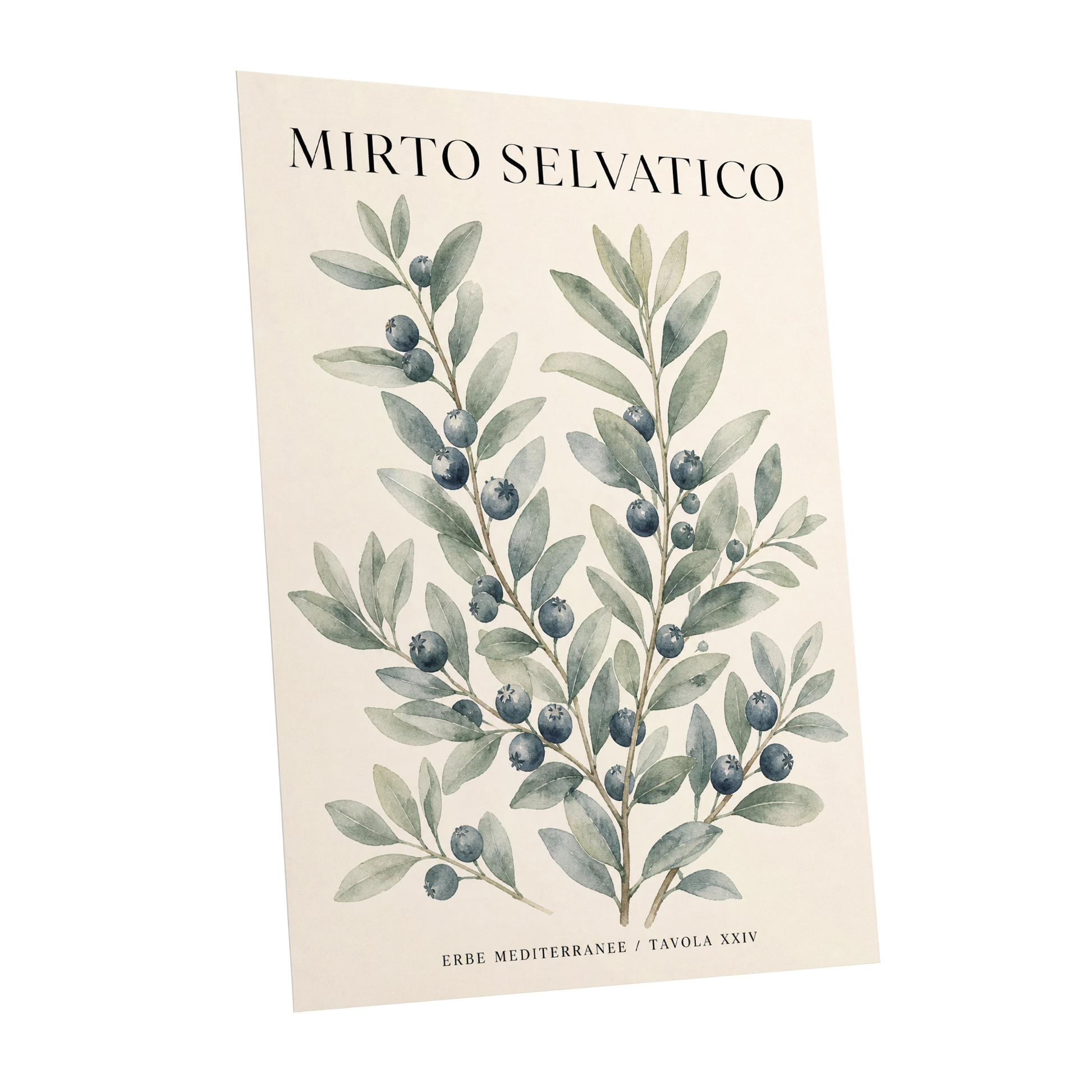 Wild Myrtle Study, beige, green, blue nature wall art shown as a unframed poster wall art print