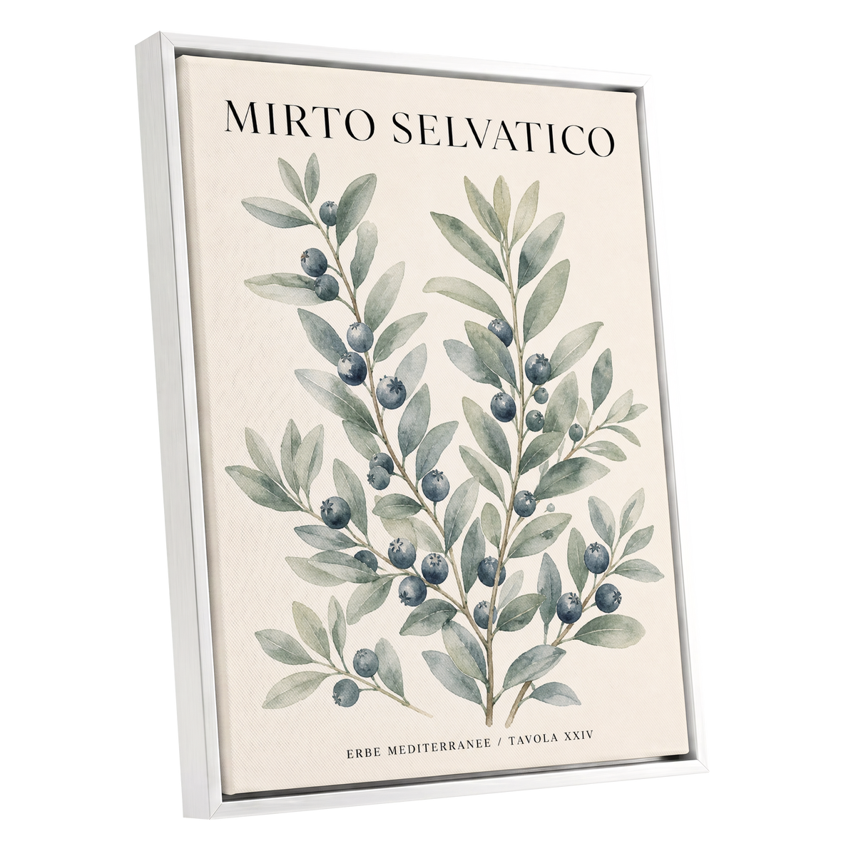 Wild Myrtle Study, beige, green, blue nature wall art shown as a white framed canvas wall art