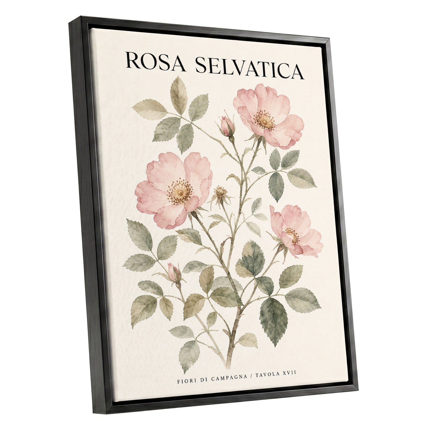 Wild Rose Study, pink, green, beige floral wall art shown as a black framed canvas wall art