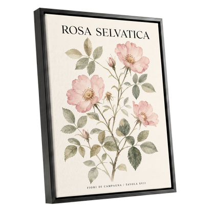 Wild Rose Study, pink, green, beige floral wall art shown as a black framed canvas wall art