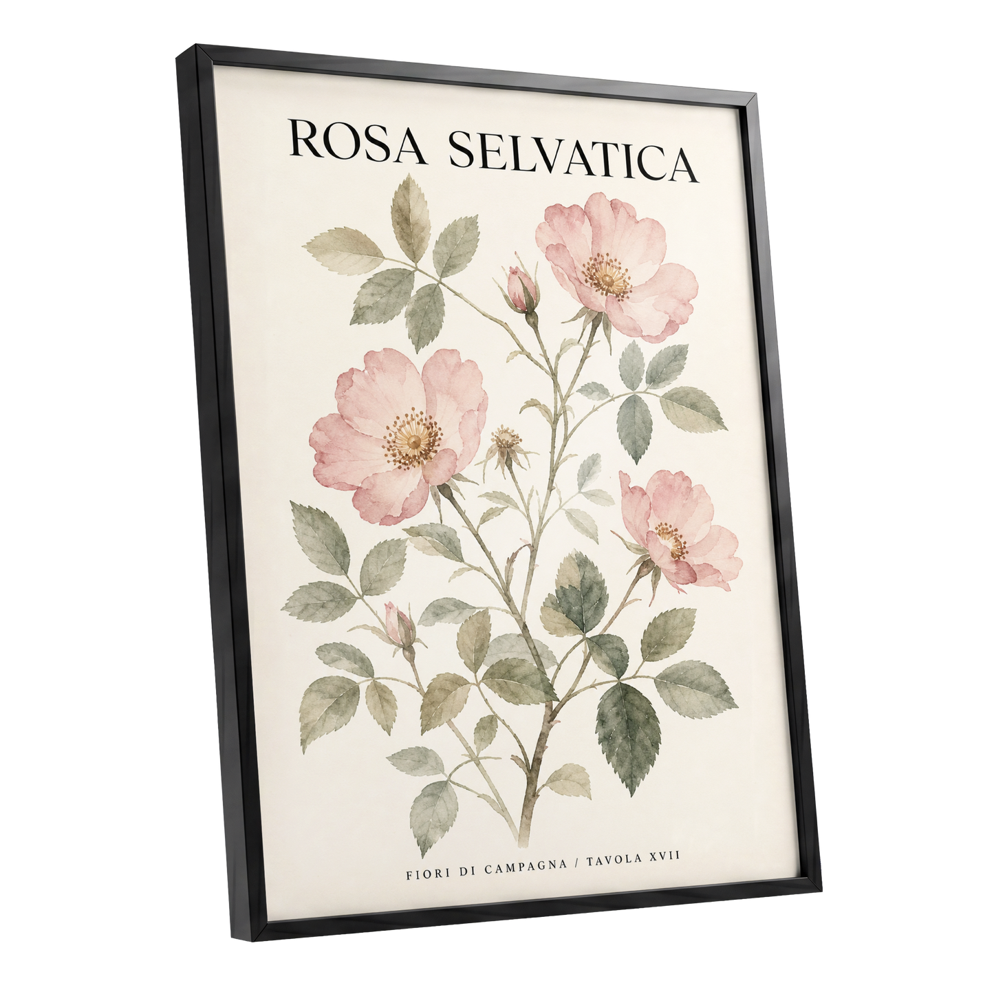 Wild Rose Study, pink, green, beige floral wall art shown as a black framed poster wall art print