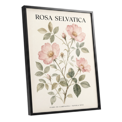 Wild Rose Study, pink, green, beige floral wall art shown as a black framed poster wall art print