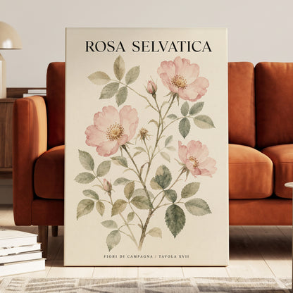 Wild Rose Study, pink, green, beige floral wall art on canvas displayed in a styled interior, gallery view 1