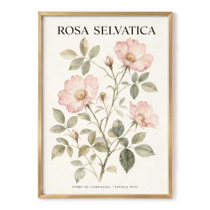 Wild Rose Study, pink, green, beige floral wall art, front artwork view